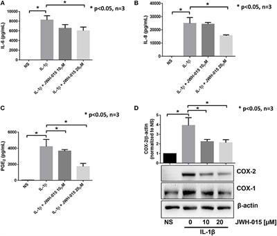 Cannabinoid Receptor 2 Agonist JWH-015 Inhibits Interleukin-1β-Induced Inflammation in Rheumatoid Arthritis Synovial Fibroblasts and in Adjuvant Induced Arthritis Rat via Glucocorticoid Receptor